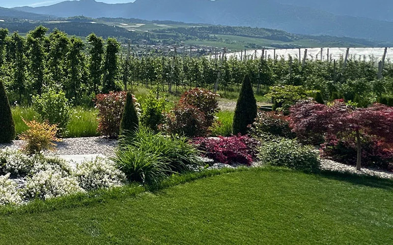 Manutenzione <span>giardini</span>